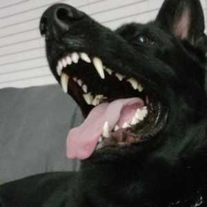 resized_20211024_1954032