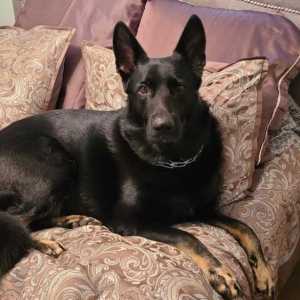 resized_20211205_1558201